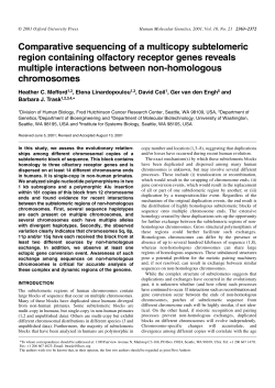 Comparative sequencing of a multicopy subtelomeric region