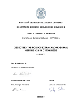 dissecting the role of extrachromosomal histone h2b in cytokinesis