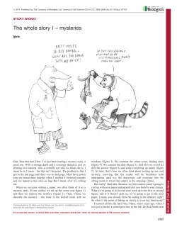 The whole story I &ndash; mysteries