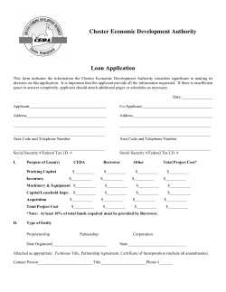 Chester Economic Development Authority Loan Application