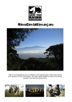 Rhino Climb Kilimanjaro