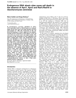Endogenous DNA abasic sites cause cell death in the absence of