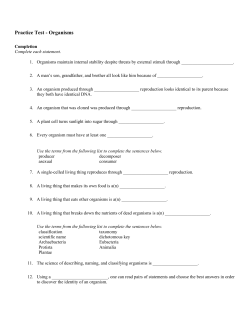 Practice Test - Organisms