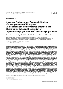 Molecular Phylogeny and Taxonomic Revision of