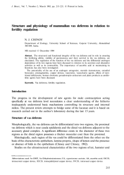 Structure and physiology of mammalian vas deferens in