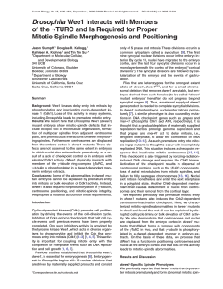 PDF_Stumpff_2005
