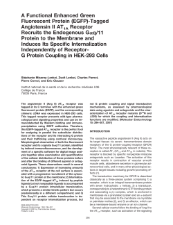 A Functional Enhanced Green Fluorescent Protein (EGFP)