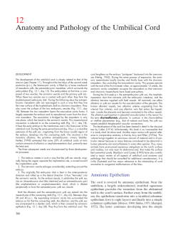 Anatomy and Pathology of the Umbilical Cord