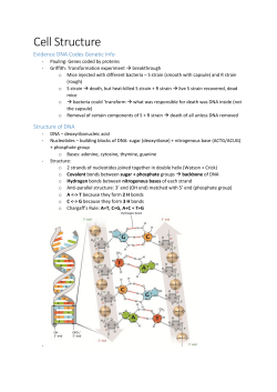 Cell Structure - Amazon Web Services