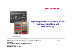 Exploiting Intellectual Property Assets