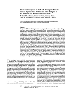The T Cell Response of HLA-DR Transgenic Mice
