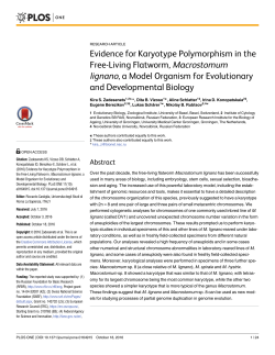 Evidence for Karyotype Polymorphism in the Free-Living