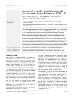Assessment of salinity-induced photorespiratory