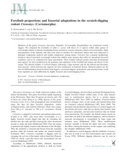 Forelimb proportions and fossorial adaptations