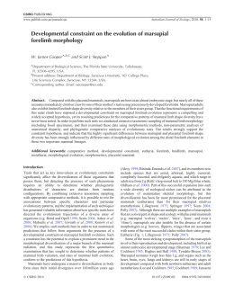 Developmental constraint on the evolution of marsupial forelimb