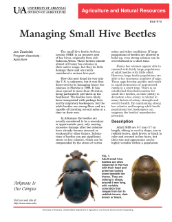 Managing Small Hive Beetles - FSA7075