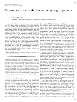 Enzyme secretion in the absence of zymogen