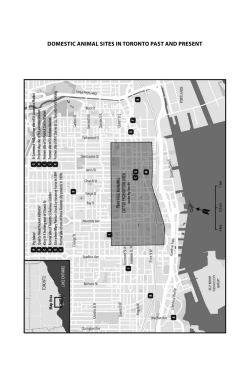 Living and Working with Domestic Animals in