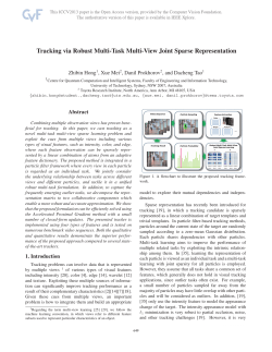 Tracking via Robust Multi-task Multi