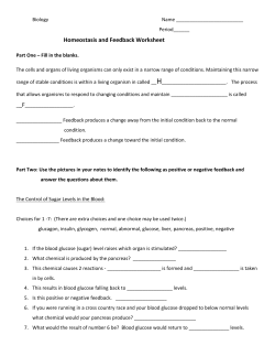 Homeostasis and Feedback Worksheet