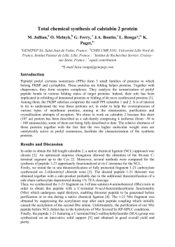 Total chemical synthesis of calstabin 2 protein