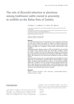 19-muma721-730.doc:chevalier 24/11/04