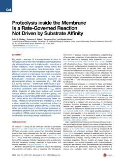 Proteolysis inside the Membrane Is a Rate