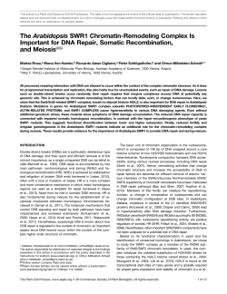 The Arabidopsis SWR1 Chromatin-Remodeling