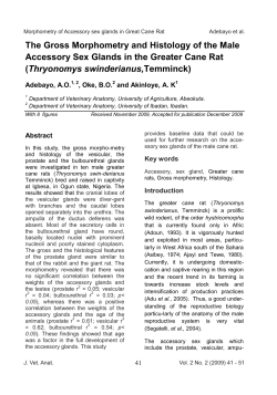 The Gross Morphometry and Histology of the Male Accessory Sex