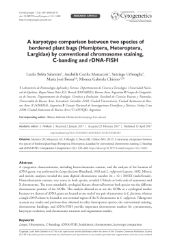 A karyotype comparison between two species of bordered plant bugs