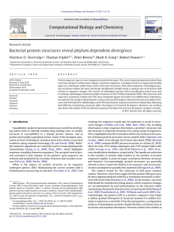 Bacterial protein structures reveal phylum dependent divergence