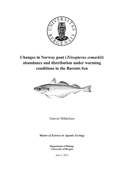 Changes in Norway pout (Trisopterus esmarkii) abundance and