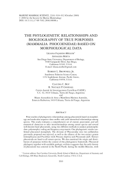 the phylogenetic relationships and biogeography of true porpoises