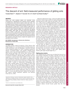 The descent of ant: field-measured performance