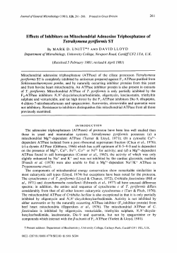 Effects of Inhibitors on Mitochondrial Adenosine