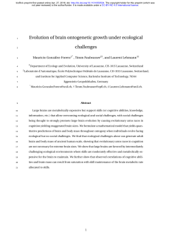 Evolution of brain ontogenetic growth under ecological
