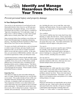 Backyard Woods - Arbor Day Foundation