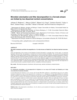 Microbial colonisation and litter decomposition in a