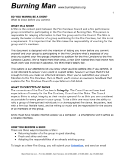 Burning Man www.burningman.org