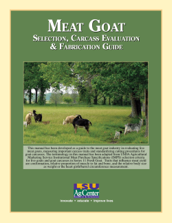 MEAT GOAT MEAT GOAT