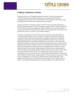 Cush hing`s Syn ndrome nn Horses