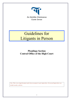 Guidelines for Litigants in Person