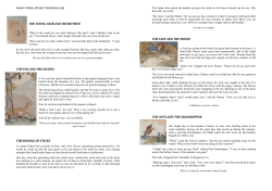 the young crab and his mother the fox and the grapes the bundle of