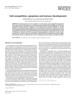 Cell competition, apoptosis and tumour development