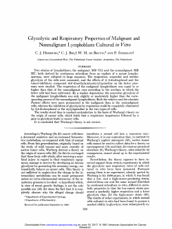 Glycolytic and Respiratory Properties of