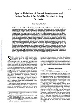 Spatial Relations of Dorsal Anastomoses and Lesion Border After