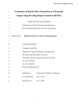 Estimation of Muscle Fiber Orientation in Ultrasound Images using