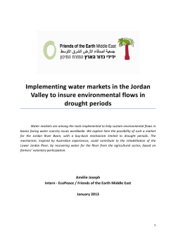 Implementing water markets in the Jordan Valley to insure