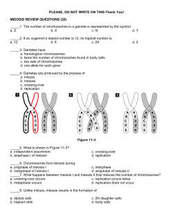 Meiosis Exam Review Sheet