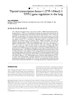 Thyroid transcription factor-1 (TTF-1/Nkx2.1/ TITF1) gene regulation